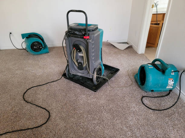 Best Water damage cleanup near me  in Monte Vista, CO