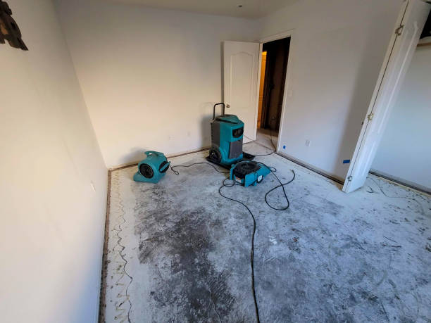 Best Professional water damage repair  in Monte Vista, CO