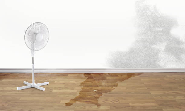 Best Fire Damage Restoration  in Monte Vista, CO