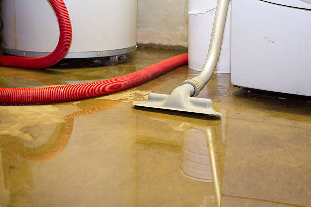  Monte Vista, CO Water damage restoration Pros