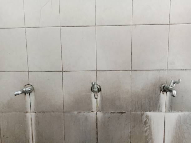 Best Water damage restoration services  in Monte Vista, CO