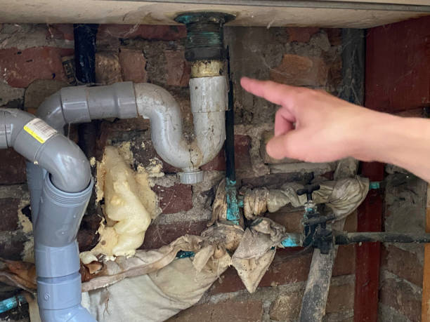 Best Mold removal after water damage  in Monte Vista, CO