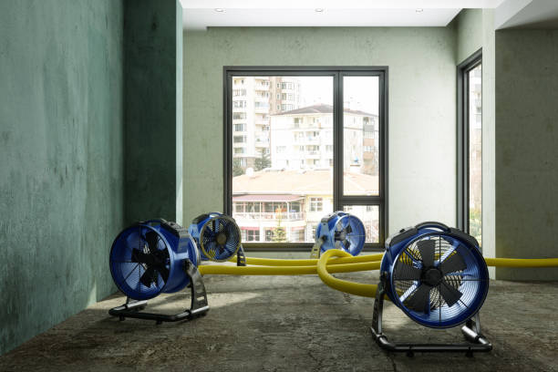 Best Carpet water damage restoration  in Monte Vista, CO