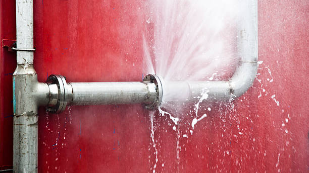 Best Water damage cleanup near me  in Monte Vista, CO